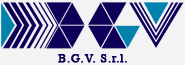 BGV